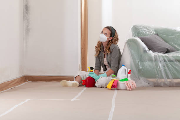 Reliable Commercial Mold Remediation contractor in Roaring Spring, PA by WQB Mold Removal